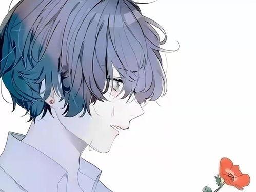 男动漫壁纸,男性角色壁纸魅力解析